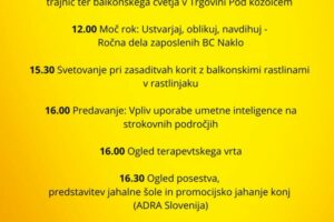 VABILO TRŽNI DAN, 15. 5. 2025