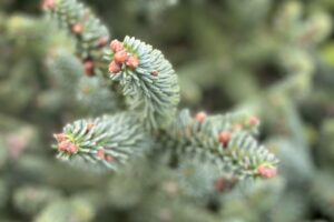 2025 12 16 – za spletno stran