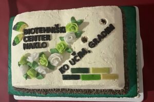 image-20251114-163024-3375b42f