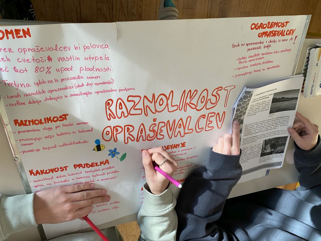 Šolsko tekmovanje Ekokviz