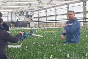 Ekošola-Picount (2) Ekošola-Picount (2)