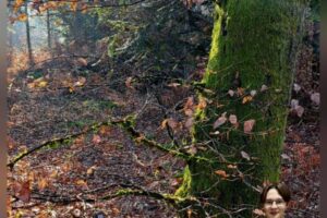 Ekokviz – državno – 2526 (3)