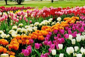 2026 03 10 – marec 2026