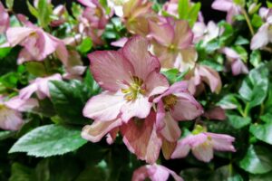 2026 04 15 – april 2026 2026 04 15 – april 2026