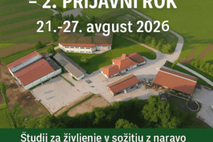 noavnoavnoav